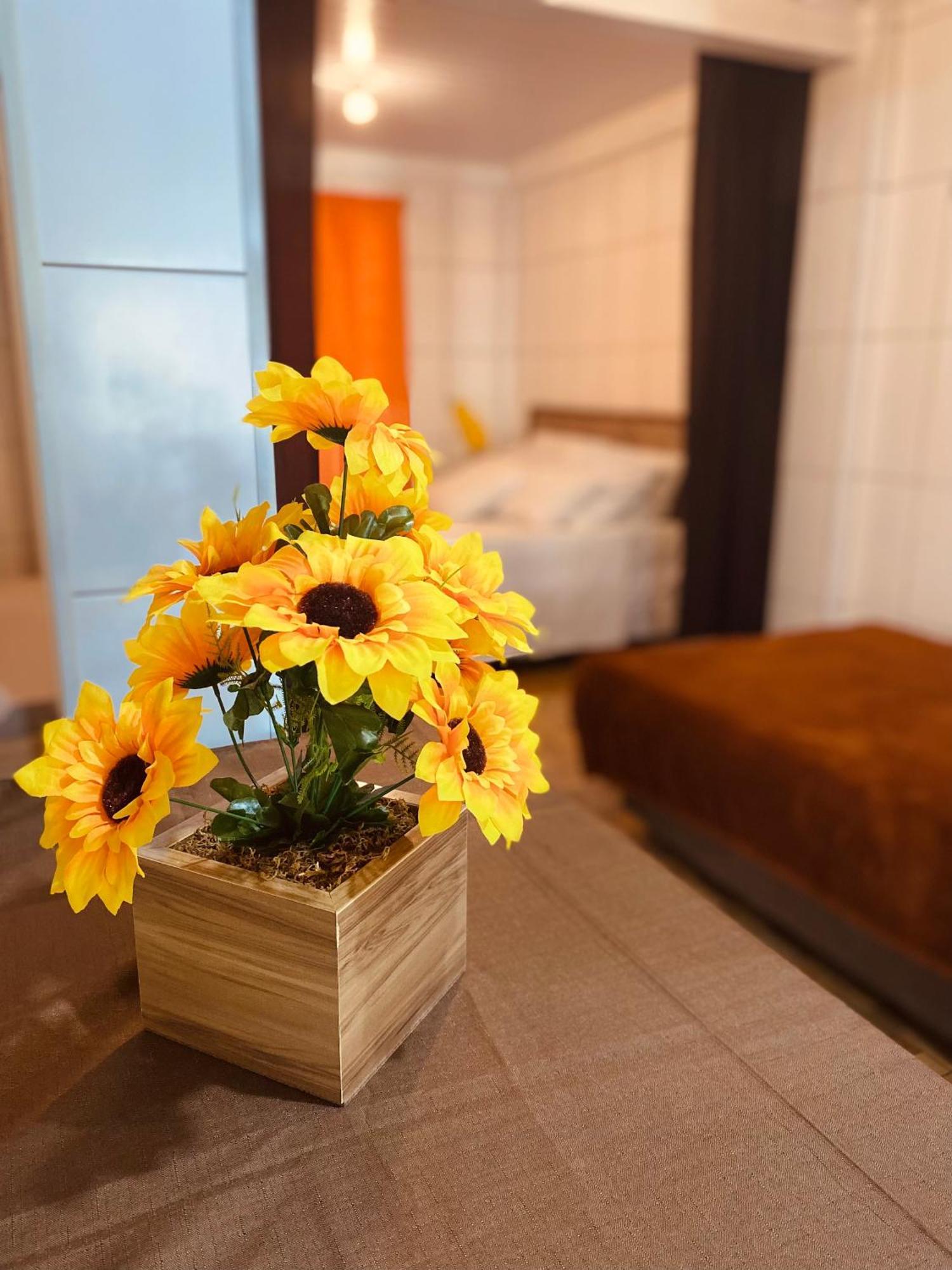 Residenciais Maria Flor グラマド エクステリア 写真